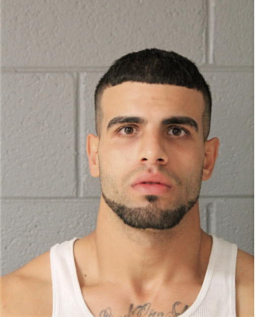 AHMAD ABUBAKR, Cook County, Illinois