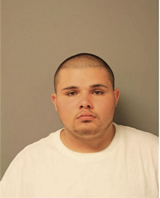 RAMON V ALONZO, Cook County, Illinois