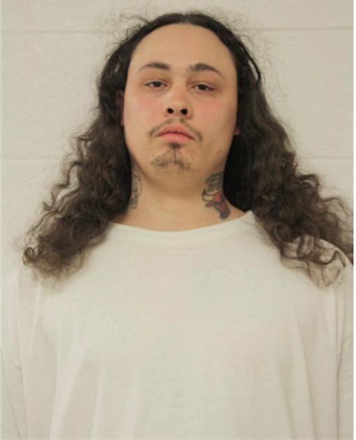 JAMES E ALVAREZ, Cook County, Illinois