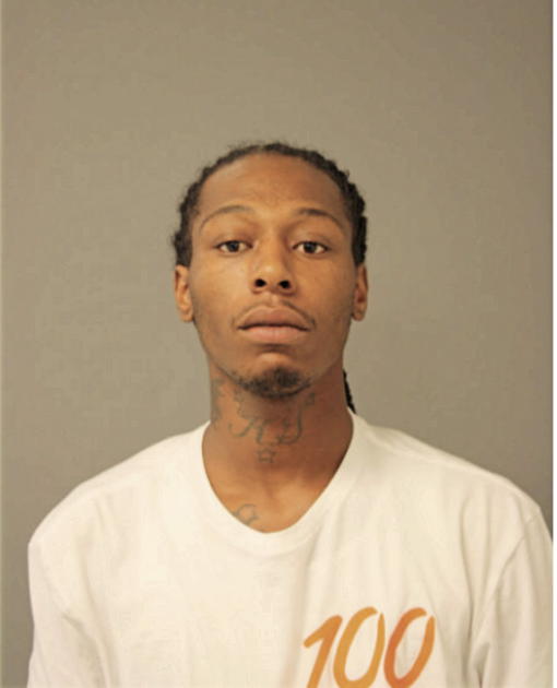 DASHAUN L ANDERSON, Cook County, Illinois