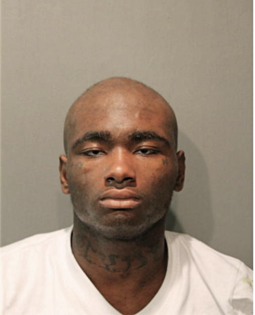 JERMAINE J BROWN, Cook County, Illinois