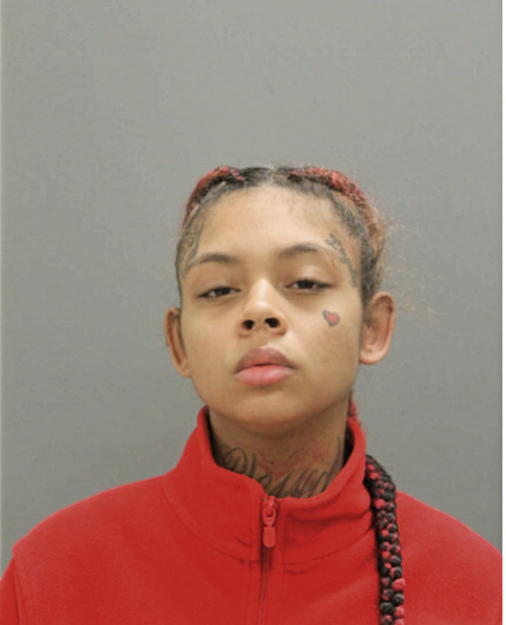 SIERRA BROWN, Cook County, Illinois