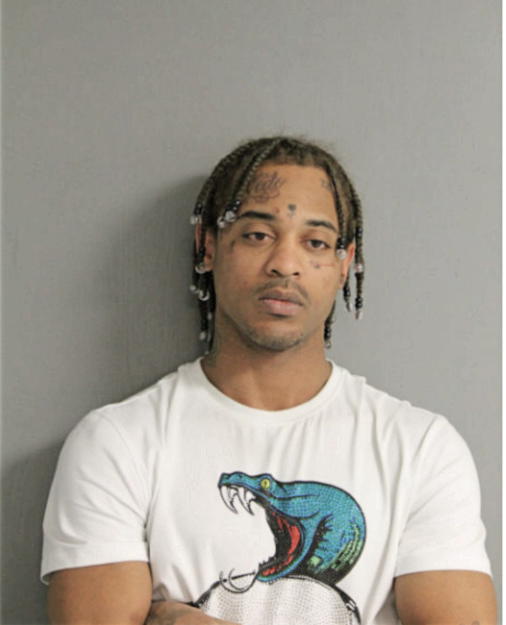 LESHANNON J CAMPBELL, Cook County, Illinois
