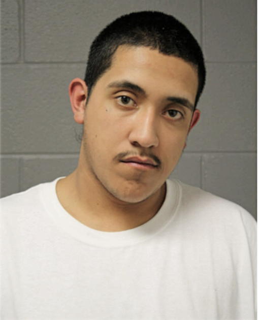 CHRISTIAN ` DELGADO, Cook County, Illinois