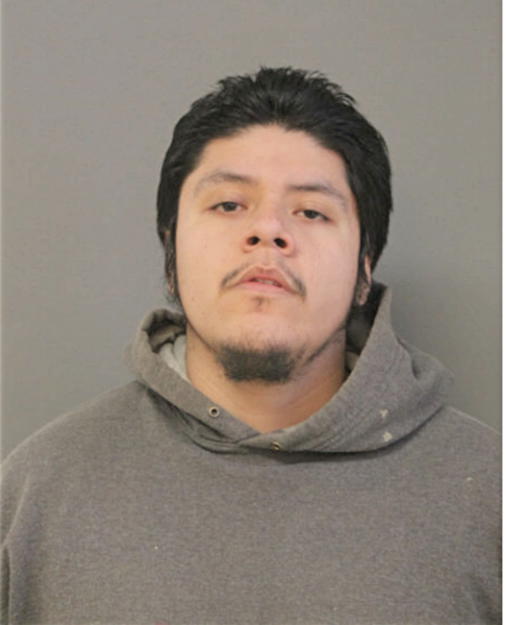 FERNANDO A GARCIA, Cook County, Illinois