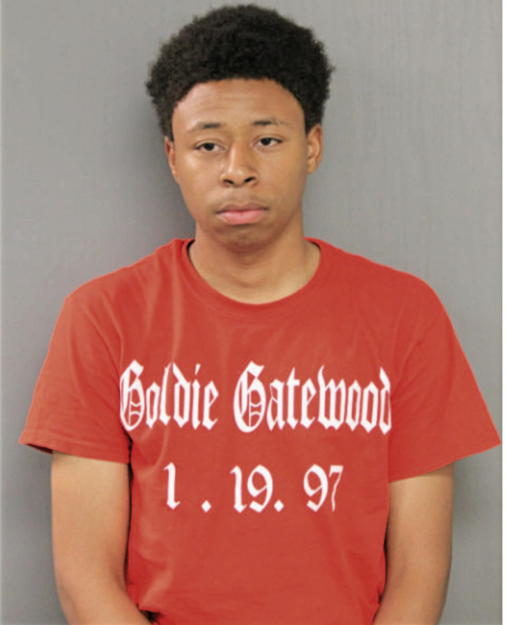DONZELL T GATEWOOD, Cook County, Illinois