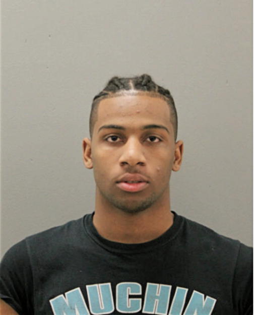 NICHOLAS GIBSON, Cook County, Illinois