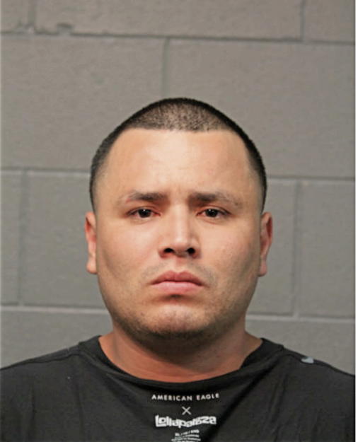 BRYANT S GONZALEZ, Cook County, Illinois