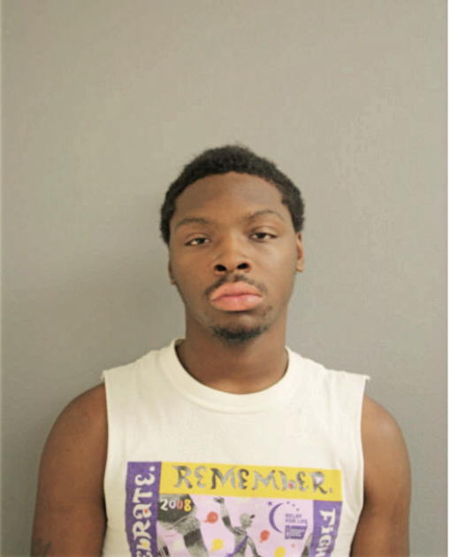 JUSTIN L HATCHER, Cook County, Illinois