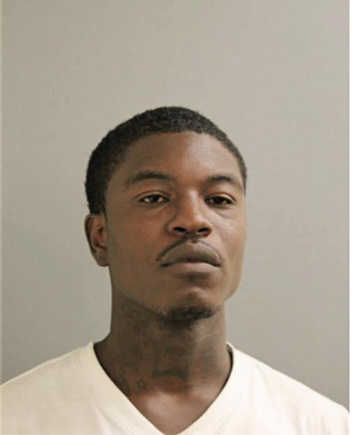 LEANTAE D JOHNSON, Cook County, Illinois