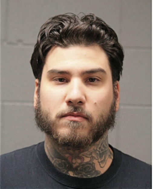 LUIS A LOPEZ, Cook County, Illinois