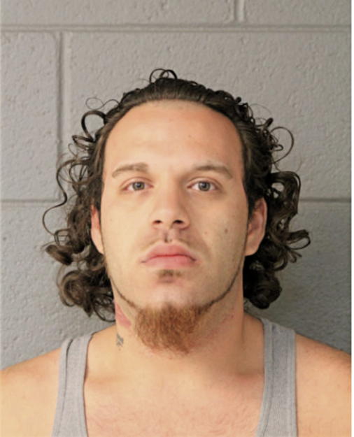 BRANDON NOFAL, Cook County, Illinois