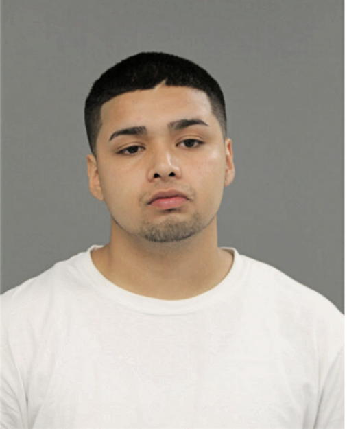 JOSEPH J PALACIOS FLORES, Cook County, Illinois