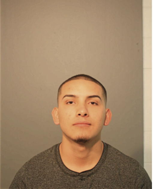 BRAYAN A RUIZ-ALANIS, Cook County, Illinois