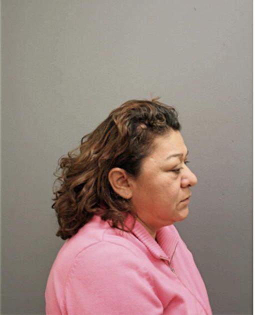 SILVIA L SANCHEZ-GARCIA, Cook County, Illinois
