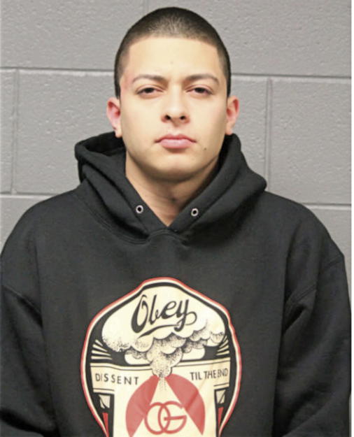 JAVIER I SILVA, Cook County, Illinois
