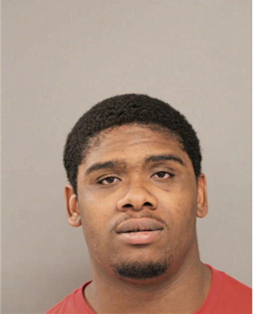 ERICK F STEVENS, Cook County, Illinois