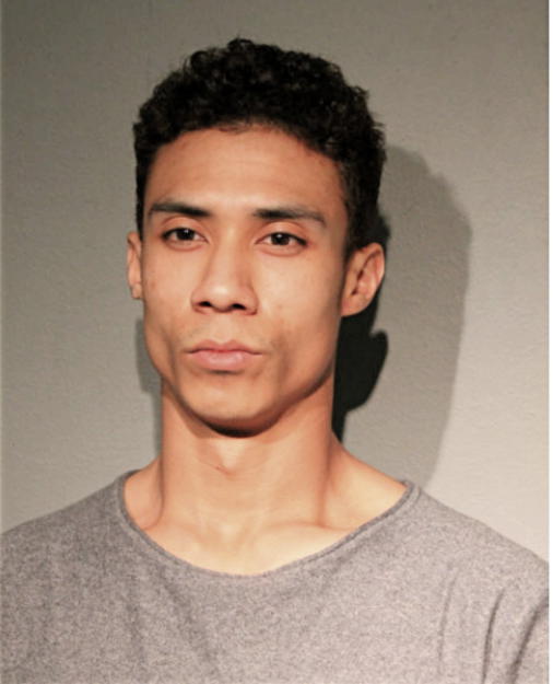 HARRISON W STEVENSON, Cook County, Illinois