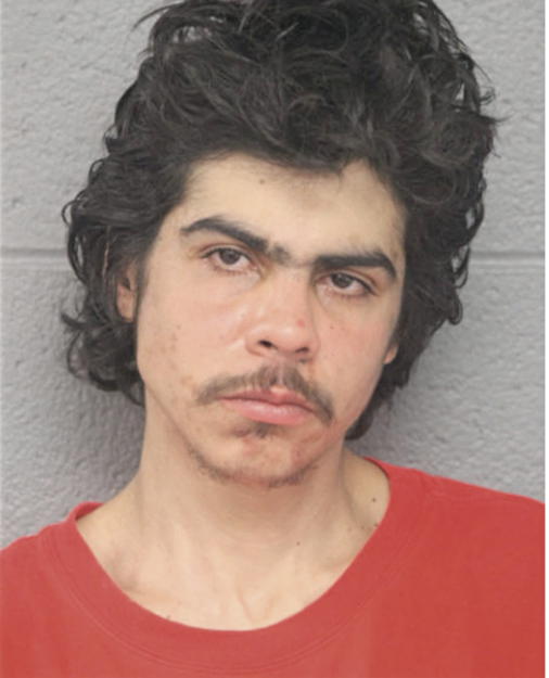 RAFAEL TORRES-CENTENO, Cook County, Illinois