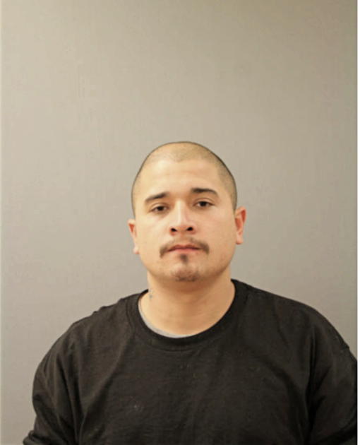 FREDY F VILLAGOMEZ, Cook County, Illinois