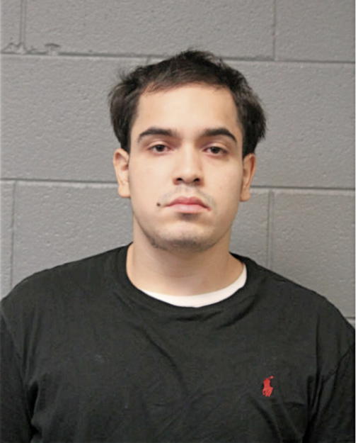 BRYAN ZAMORA, Cook County, Illinois