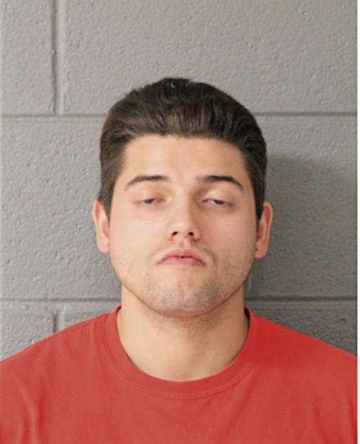 FERNANDO A MARES, Cook County, Illinois