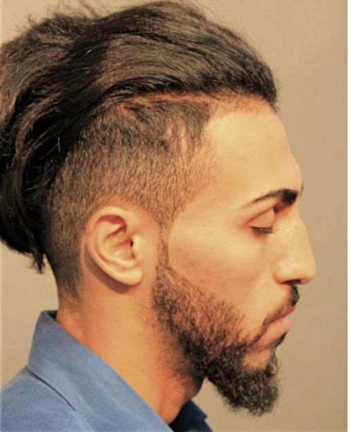 AMEER ALHUSSEINI, Cook County, Illinois
