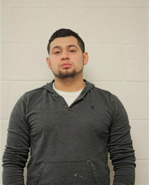 BRYAN C ALVARADO, Cook County, Illinois