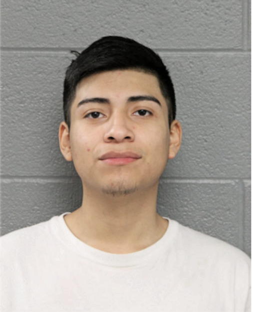 JOSE L ARRIETA, Cook County, Illinois