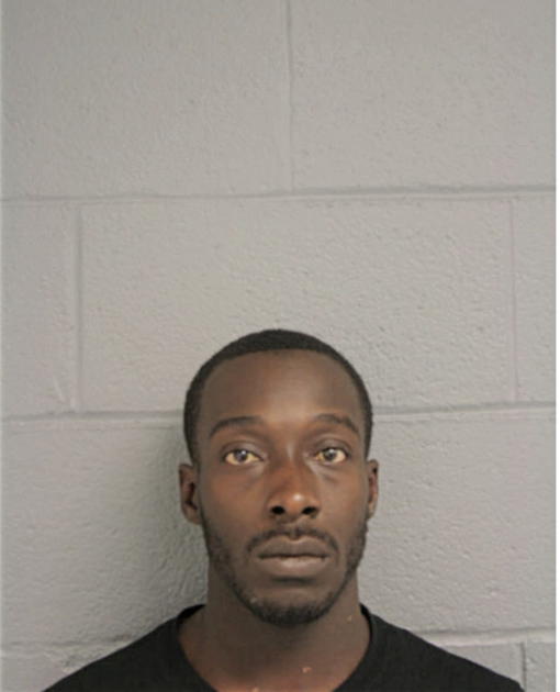 DARRYL A ASHFORD, Cook County, Illinois