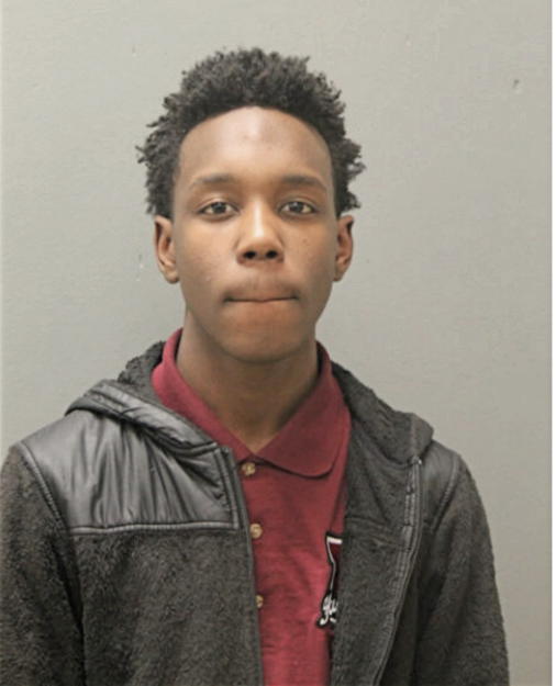 TERRANCE D MCGHEE, Cook County, Illinois