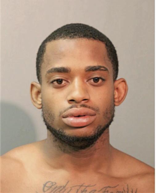 THEO G DAVIS, Cook County, Illinois