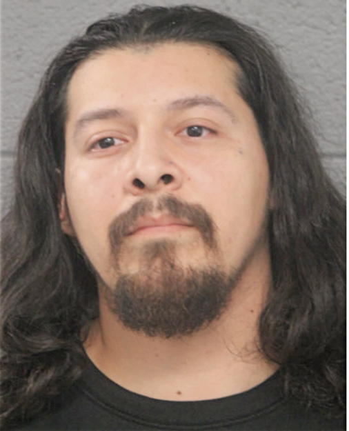 RODOLFO R DELGADO, Cook County, Illinois