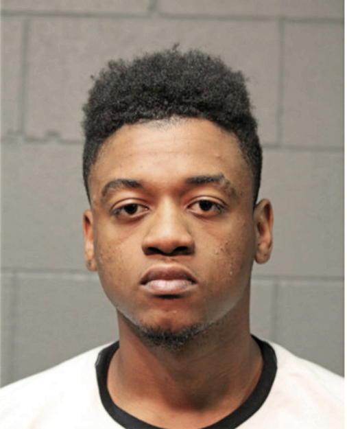 MICHAEL J DODD, Cook County, Illinois