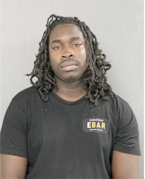 BRANDON ELLIS, Cook County, Illinois