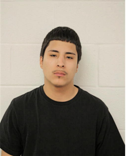 ALEX ELVIRA, Cook County, Illinois