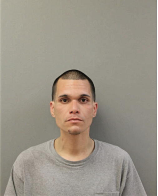 GEOVEL FELICIANO, Cook County, Illinois