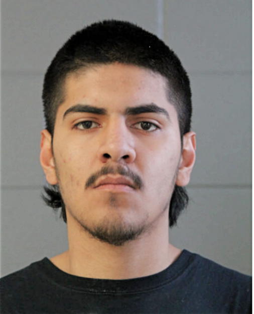 IVAN G FUERTE, Cook County, Illinois