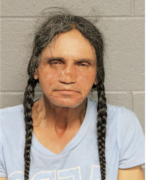 HECTOR R GALVAN, Cook County, Illinois