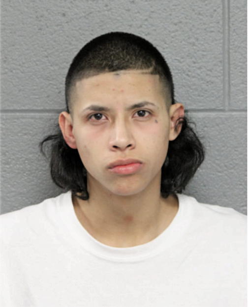 HUMBERTO GAMINO, Cook County, Illinois