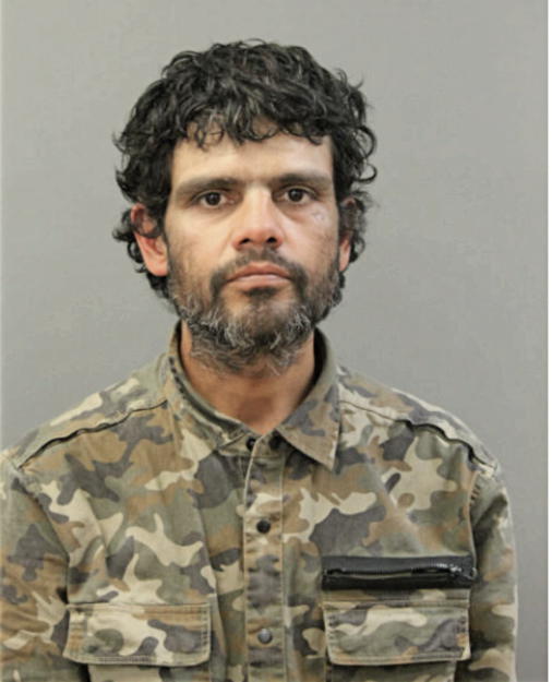 JAVIER L GONZALEZ, Cook County, Illinois