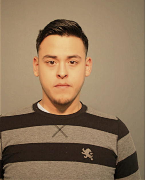 HECTOR M HERNANDEZ, Cook County, Illinois