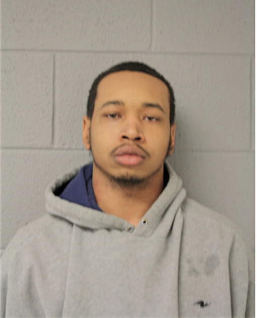 JAMES L JOHNSON, Cook County, Illinois