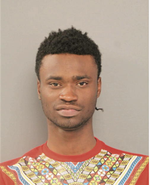TERRY D JOHNSON, Cook County, Illinois