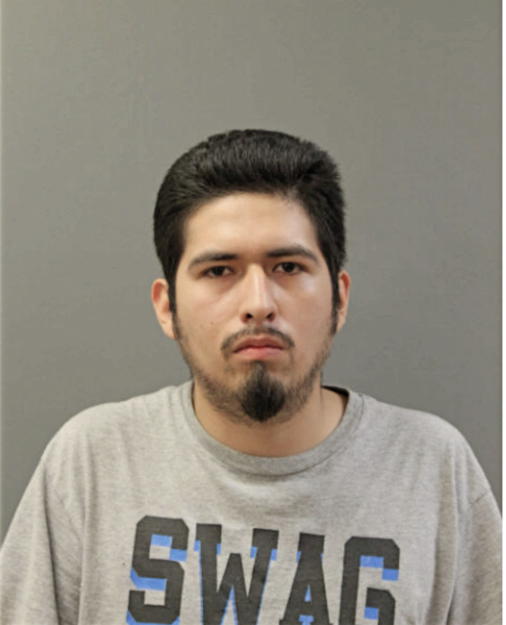 ROMAN LEONARDO, Cook County, Illinois