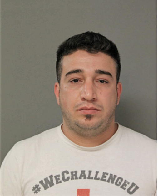 MAHDI R MAHDI, Cook County, Illinois