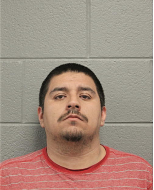 JUAN P MARTINEZ, Cook County, Illinois