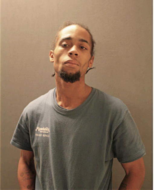 VERNON L MCDANEIL, Cook County, Illinois