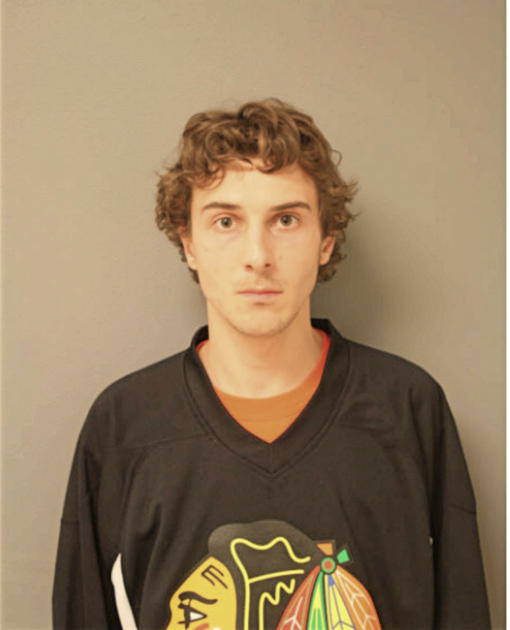 KAMIL K RICOBENE, Cook County, Illinois