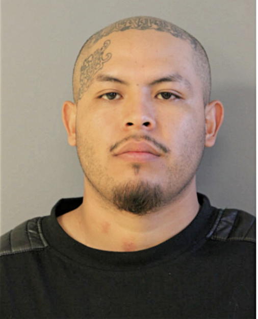 HECTOR D RUIZ, Cook County, Illinois